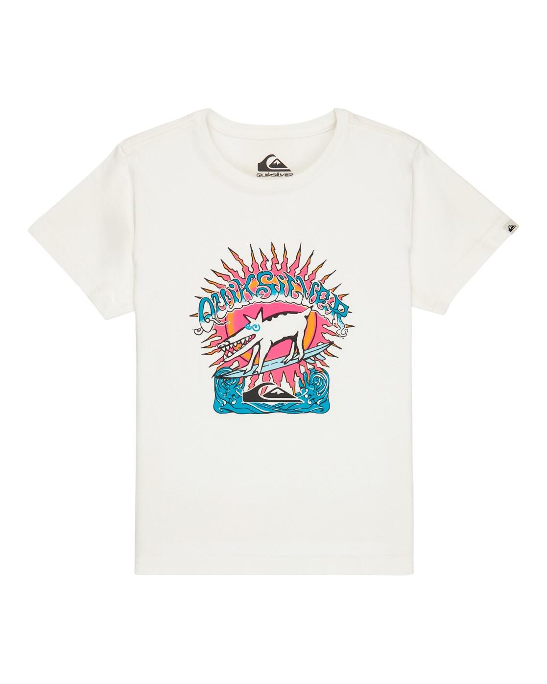 QUIKSILVER picture