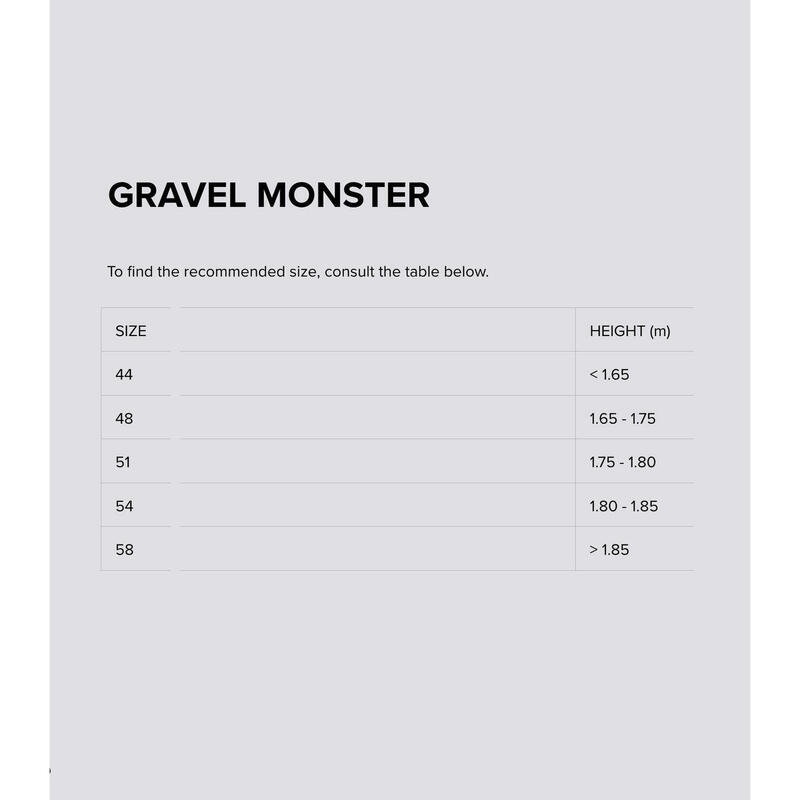 Gravel Monster Campagnolo EKAR GT 13V