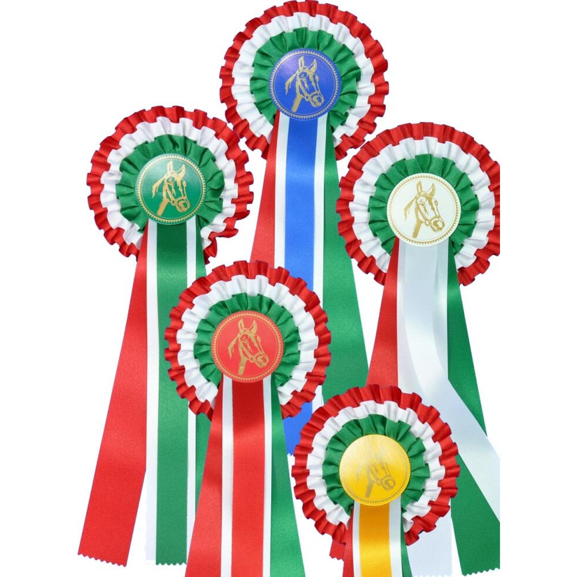 b3455b57-a3a1-470d-a3c6-7e47e720d1a1_c14