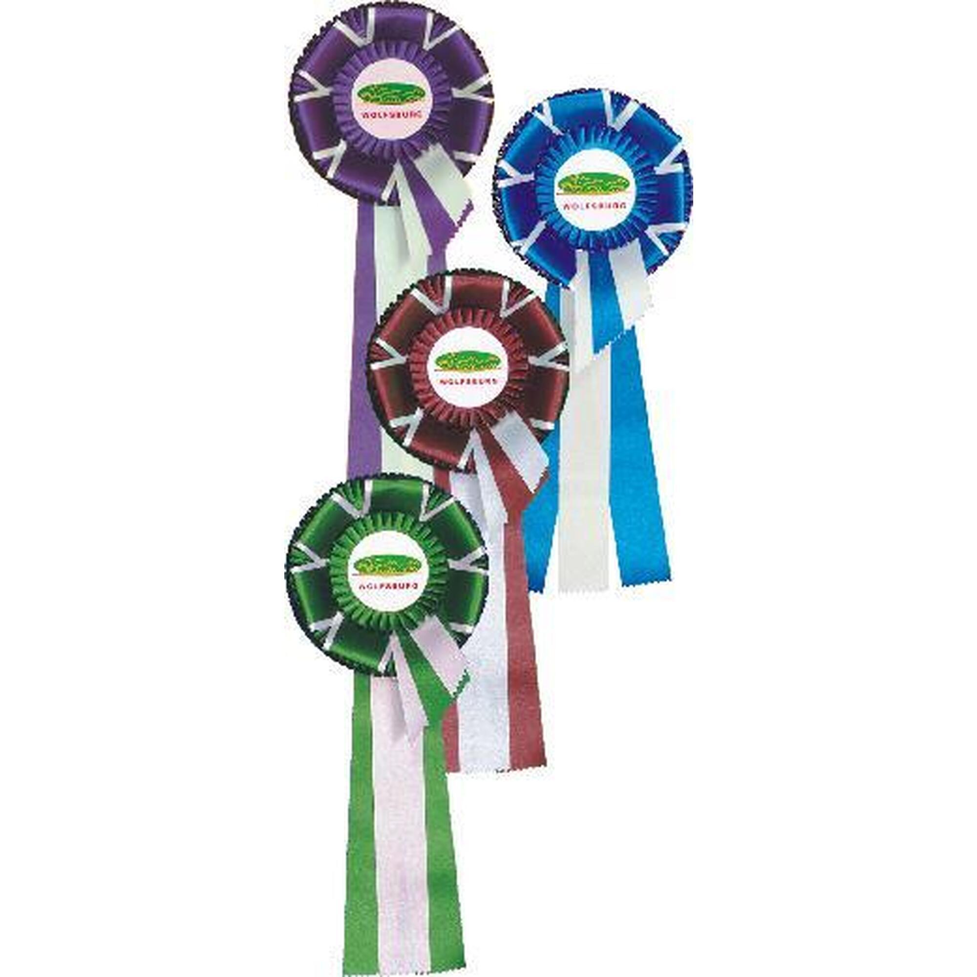 cf2c57a5-a8d4-4420-8fae-afc3ba84497c_c15