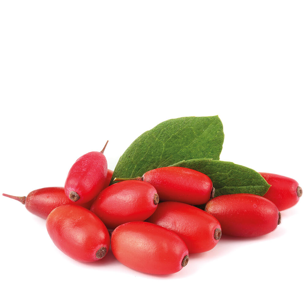 Lucovitaal Puur Berberine 500 mg 4/5
