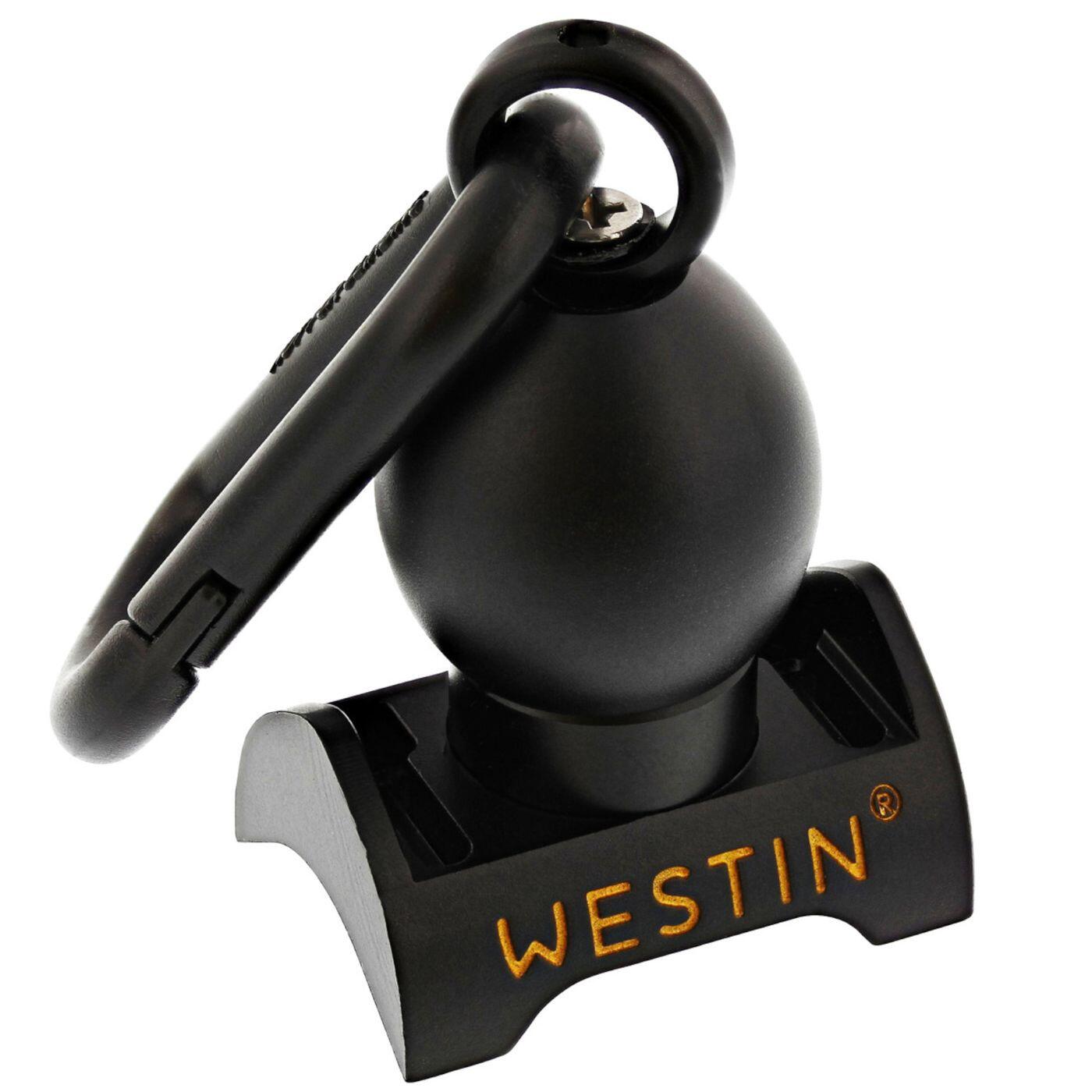 WESTIN picture