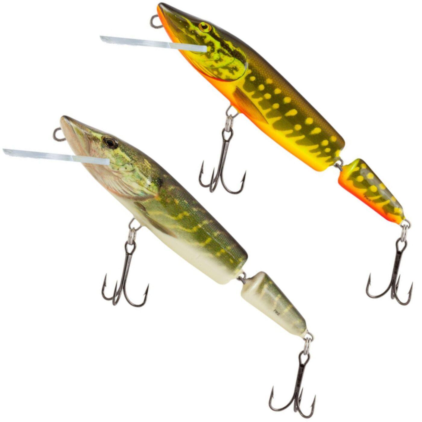 SALMO picture