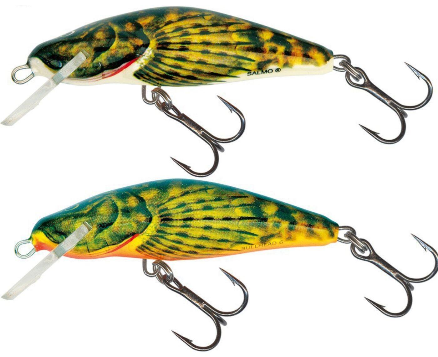 SALMO picture