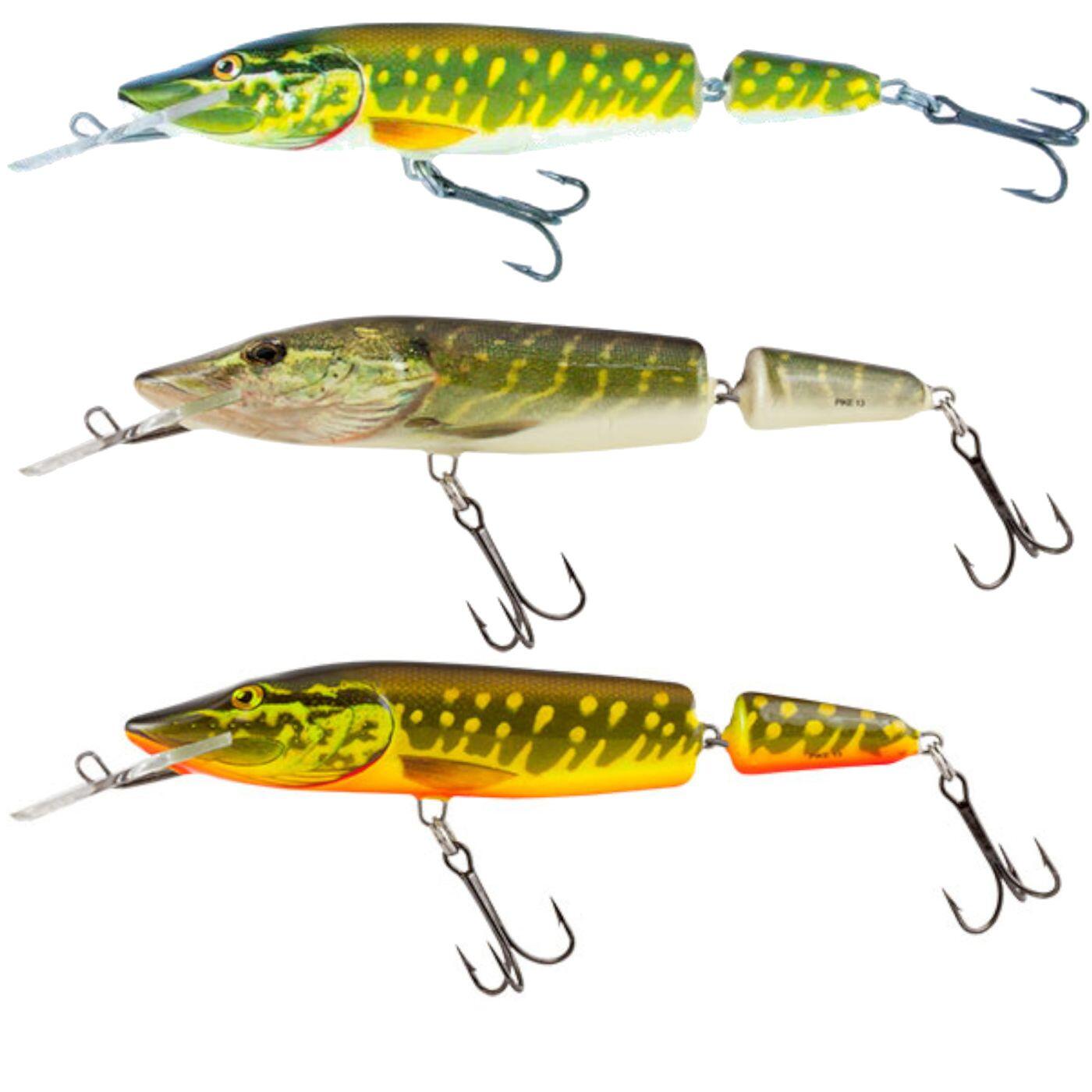 SALMO picture