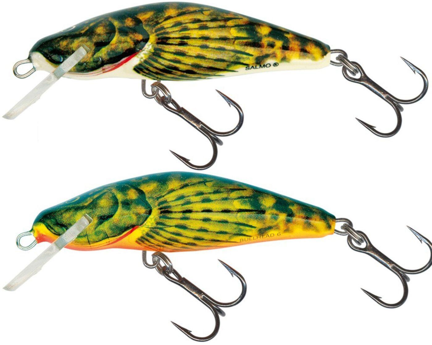 SALMO picture