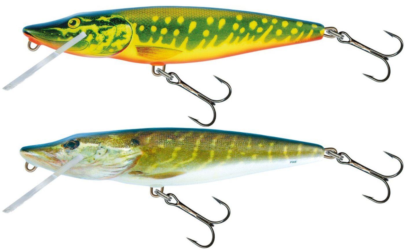 SALMO picture