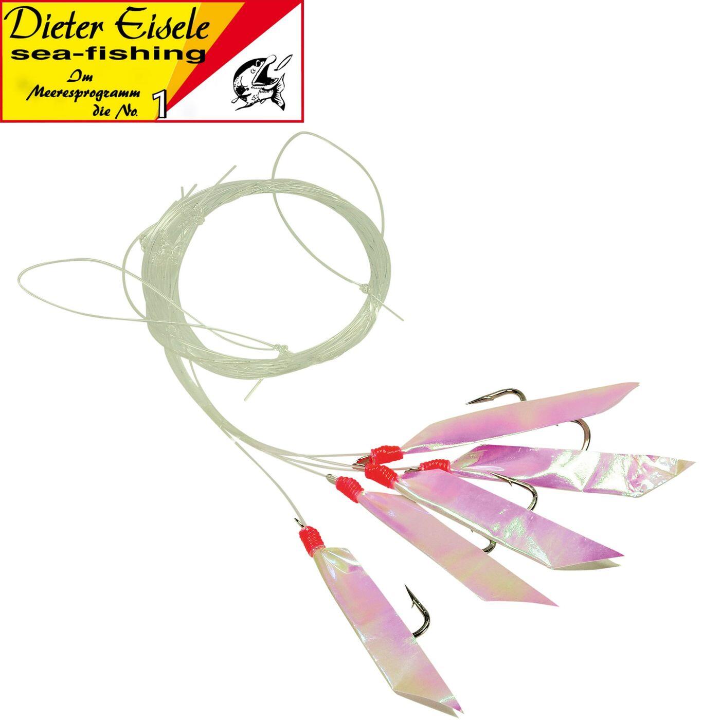 DIETER EISELE picture