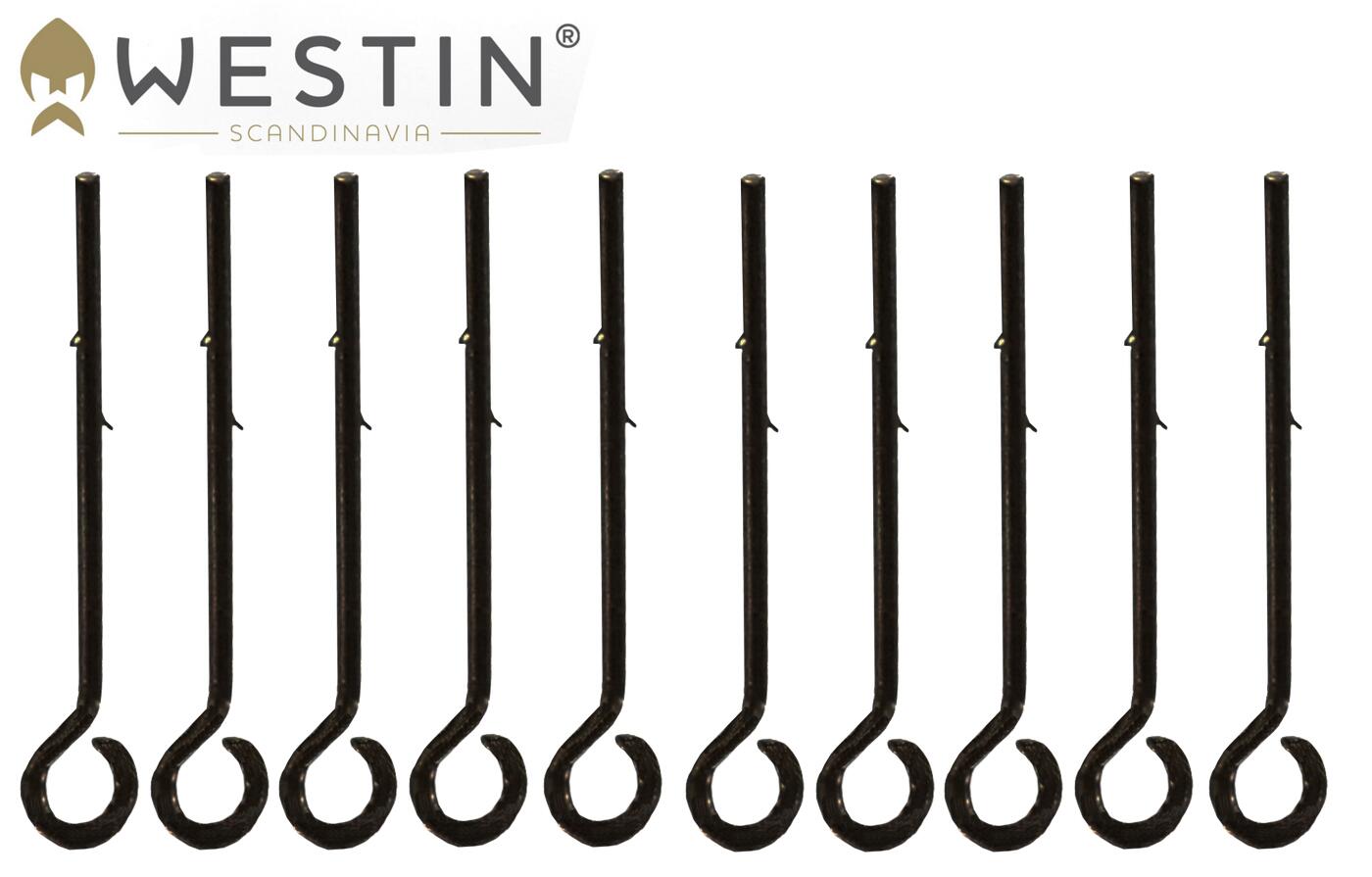 WESTIN picture
