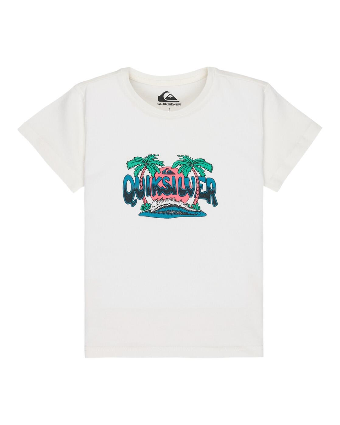 QUIKSILVER picture
