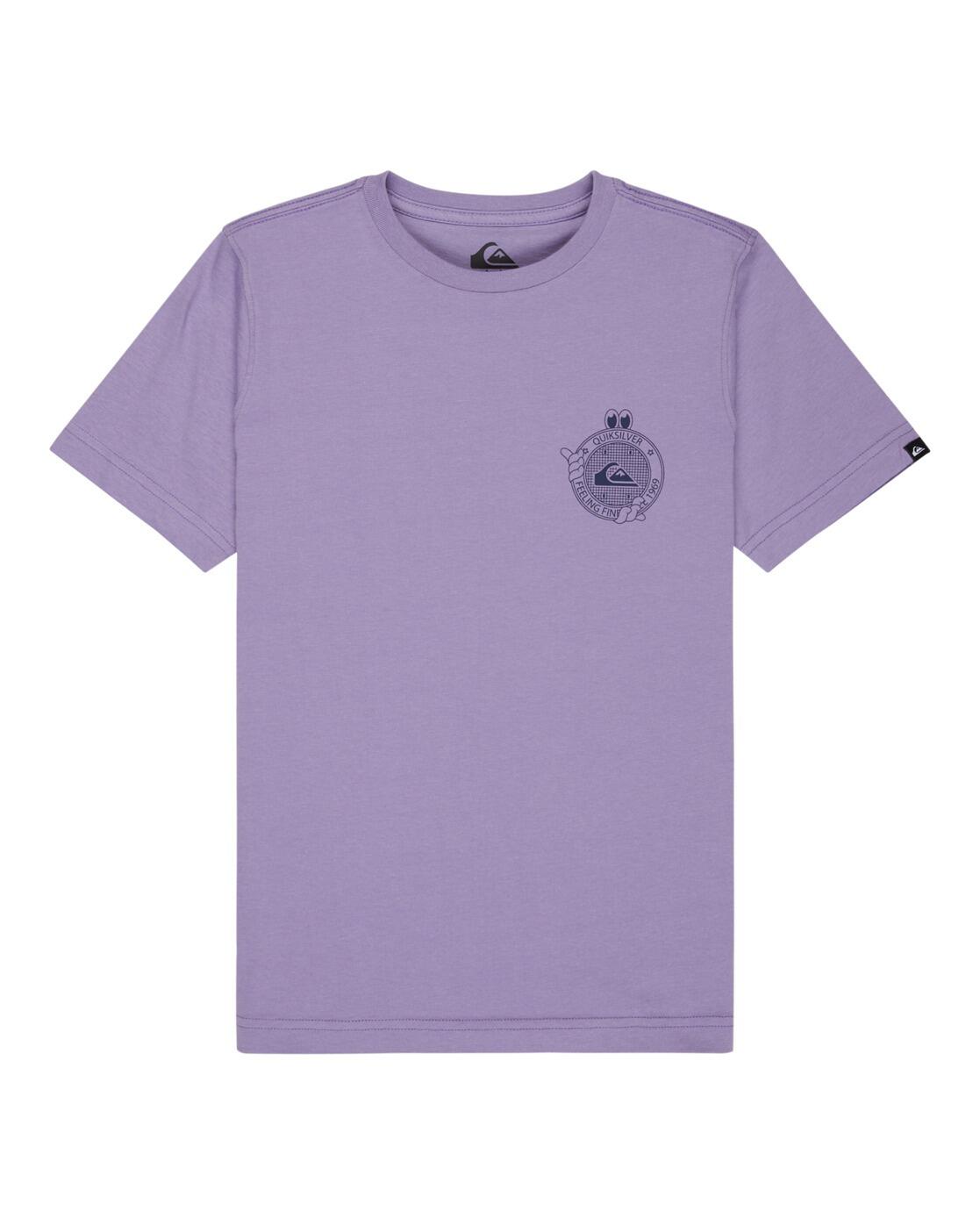 QUIKSILVER picture