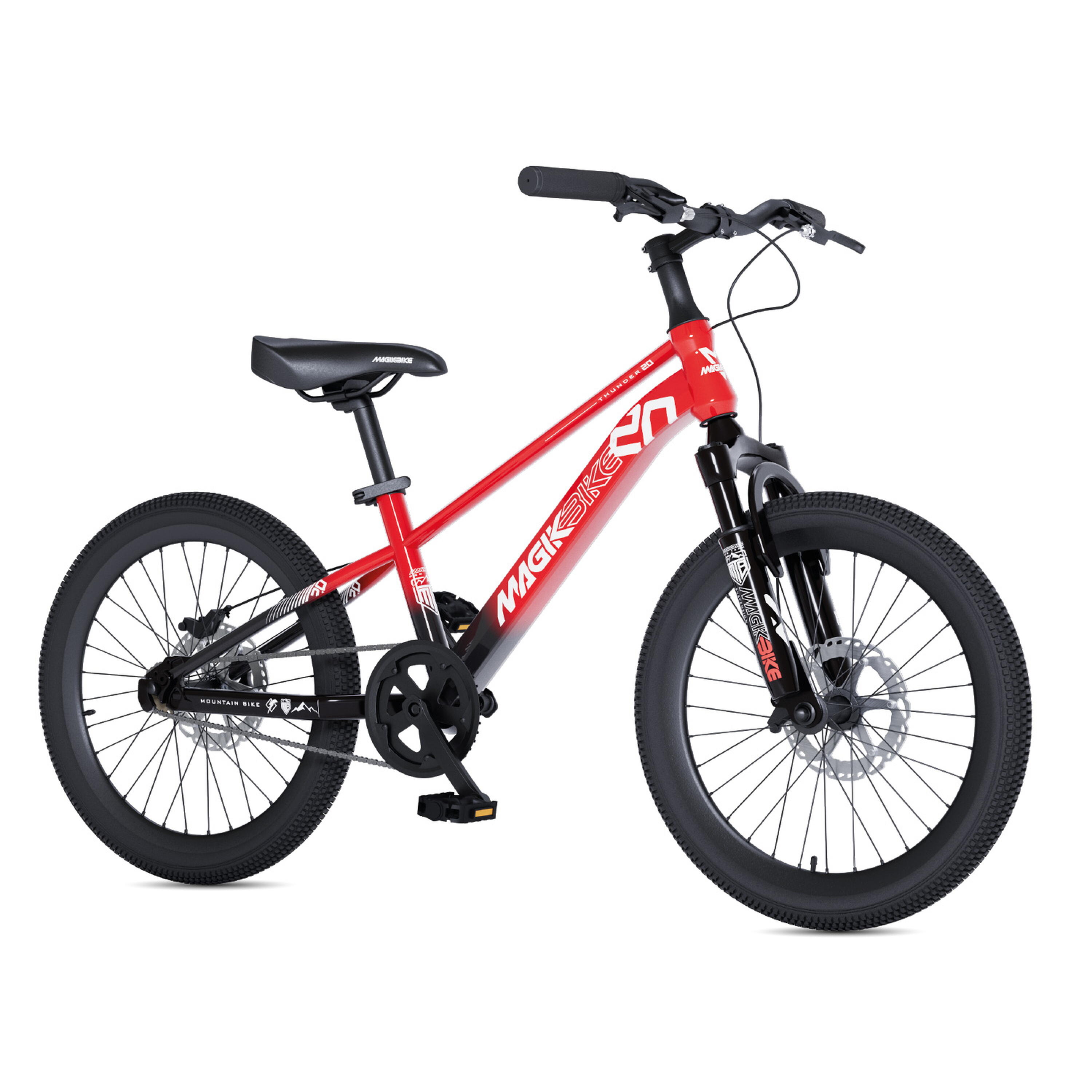 DINO BIKES picture