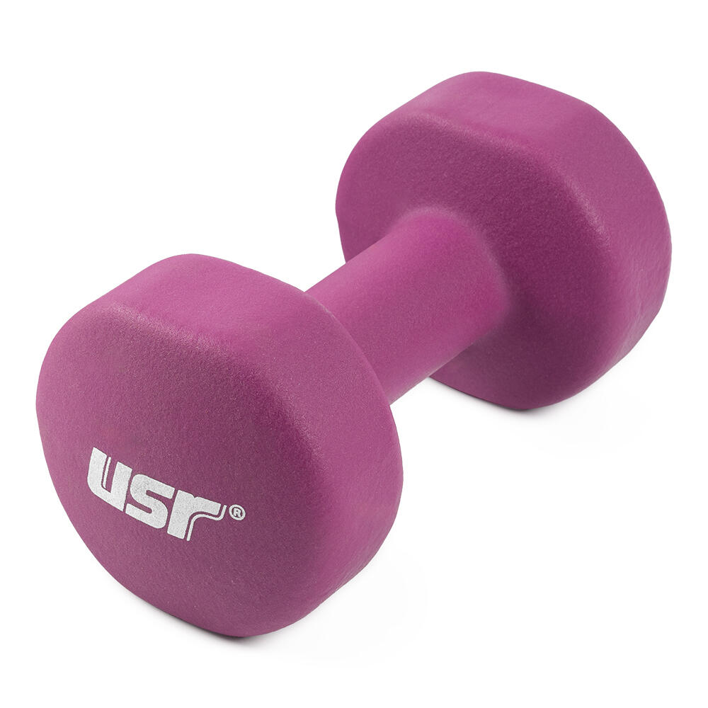 USR USR ND100 10 Kg Stüdyo Dambıl 1 Adet