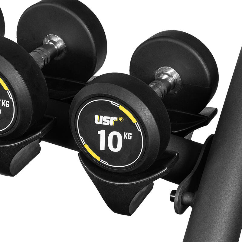 USR Priene DR220D 330 Kg Dambıl-Raf Set