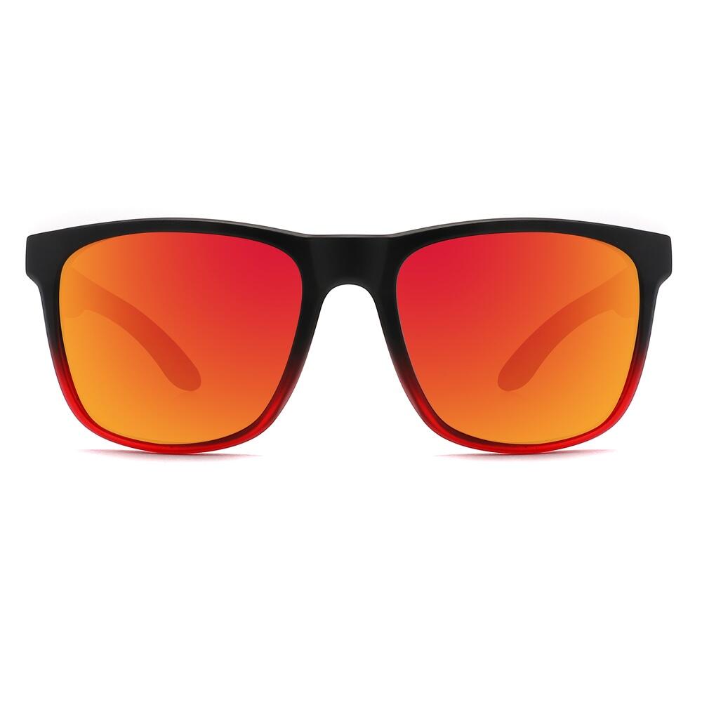 Lunettes de Soleil Feler 1586M-5 Polarisées en Bois Unisexe 53 mm 2/4