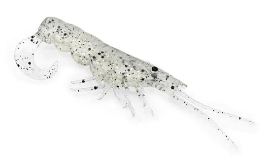 Softbait - CHASEBAITS – Curly Prawn (Jelly Prawn, 9 cm)