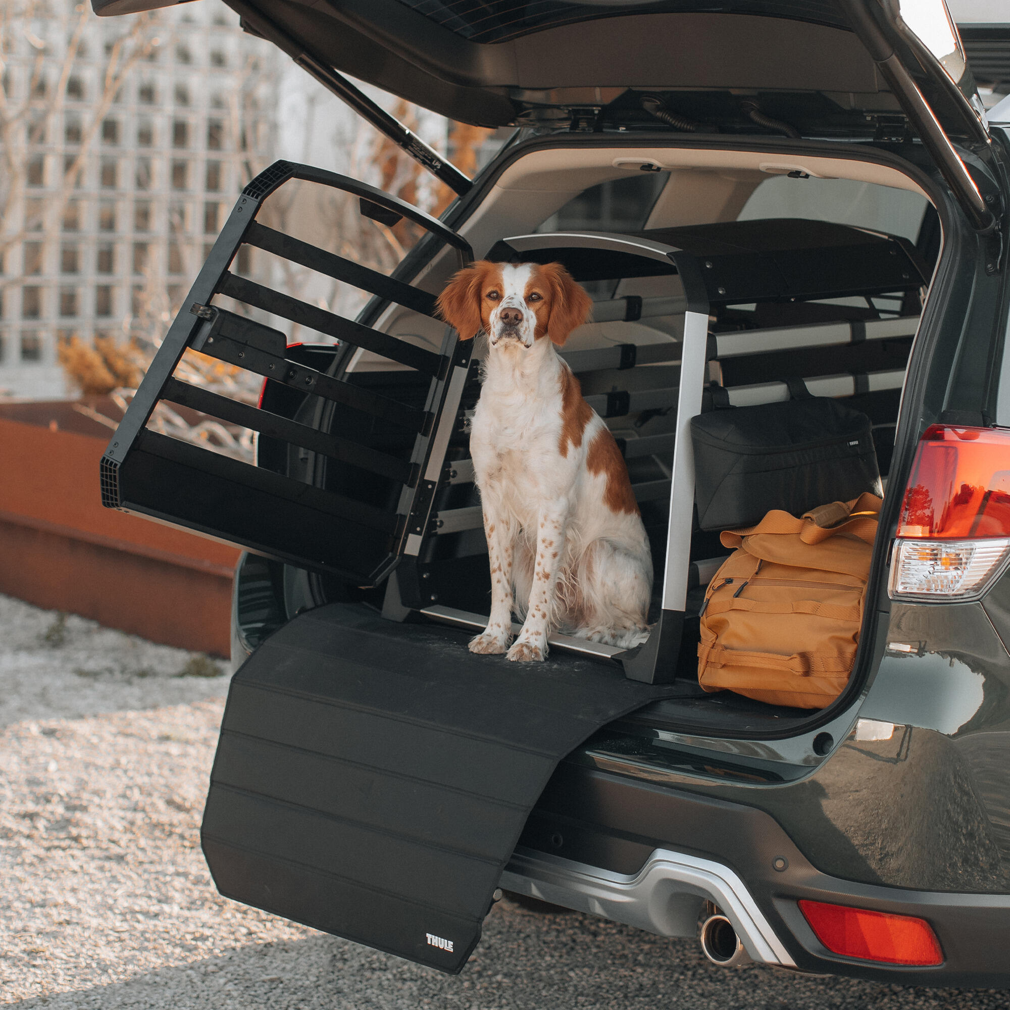 Caisse pour chien Thule Allax 6/7
