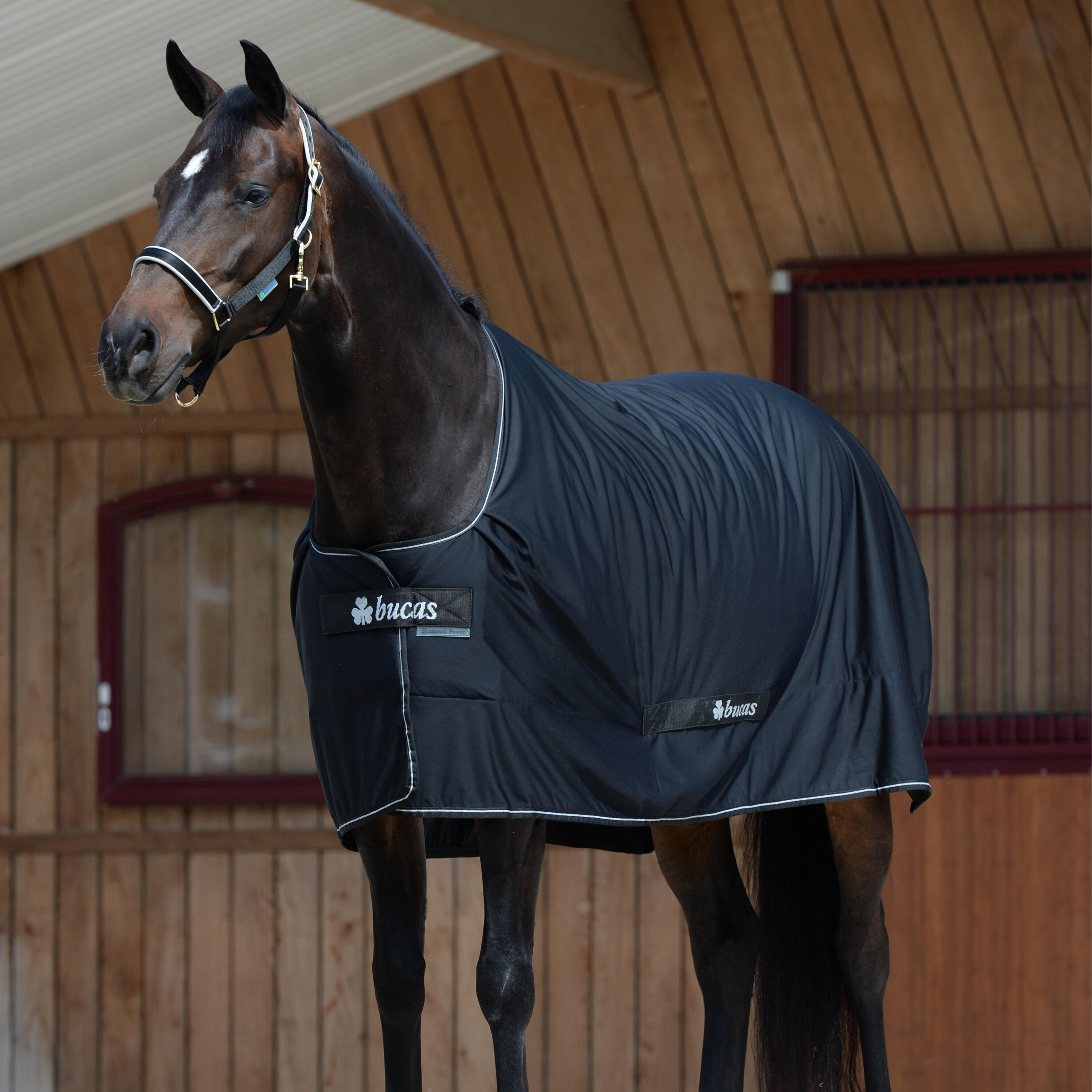 Manta de exterior para caballos Bucas Shamrock Power 1/2