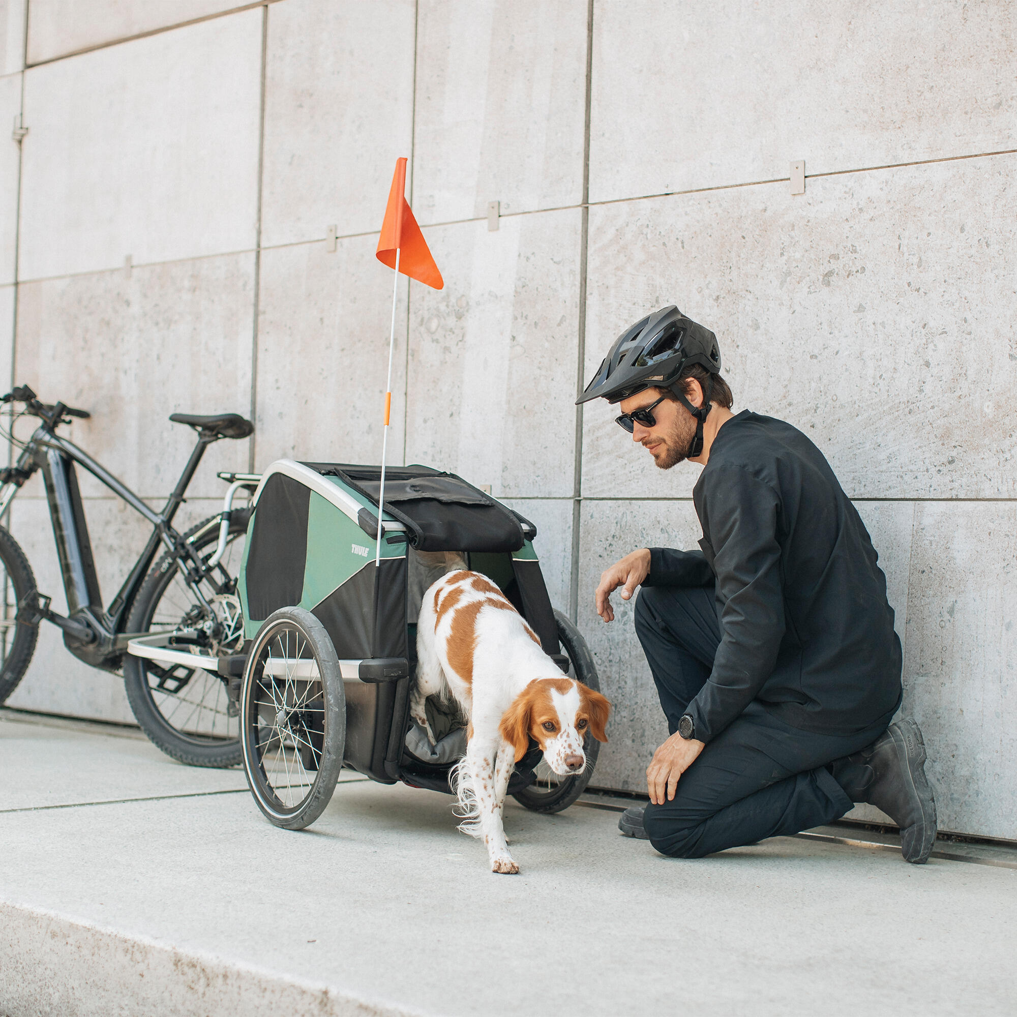 Remorque de vélo Thule Bexey 5/7
