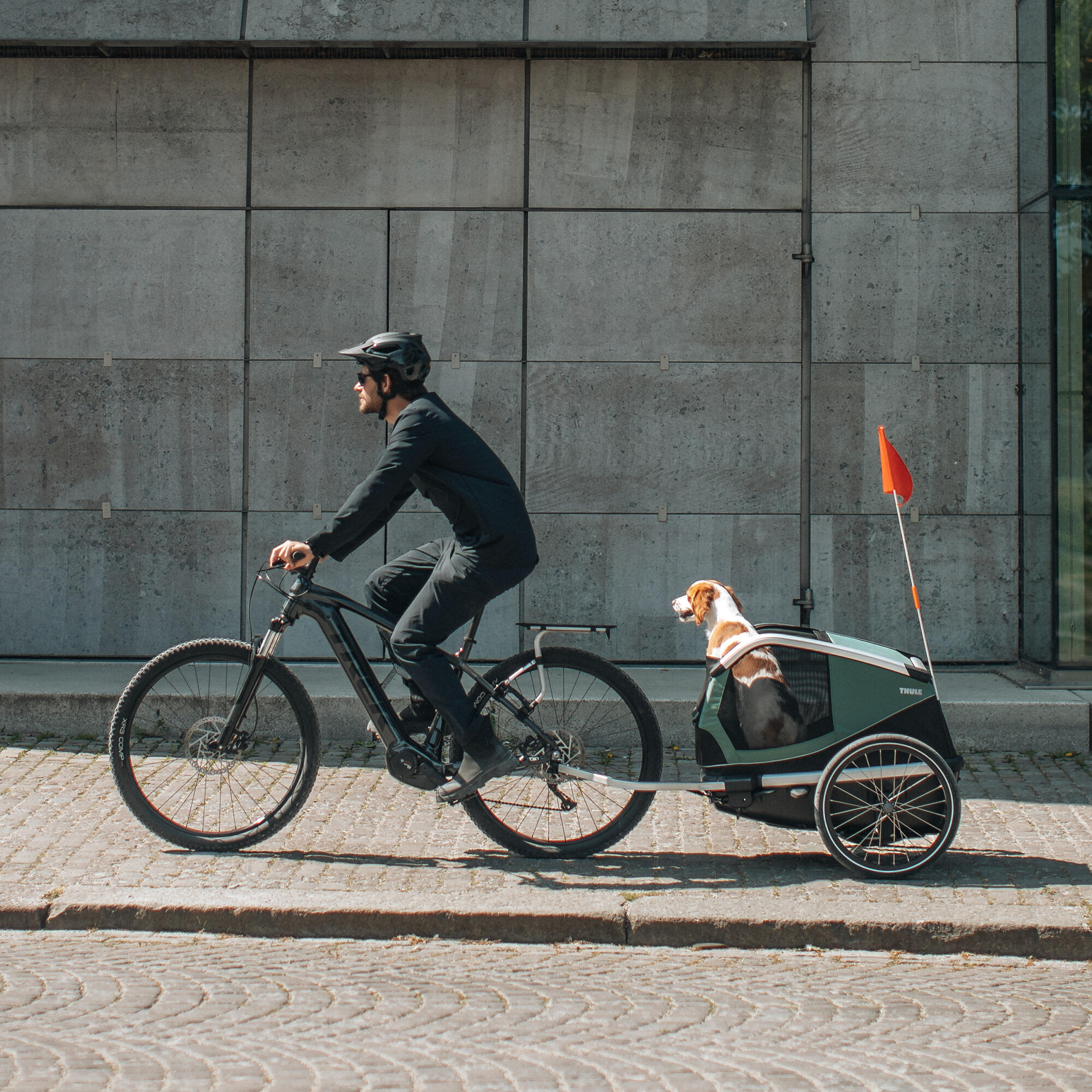 Remorque de vélo Thule Bexey 6/7