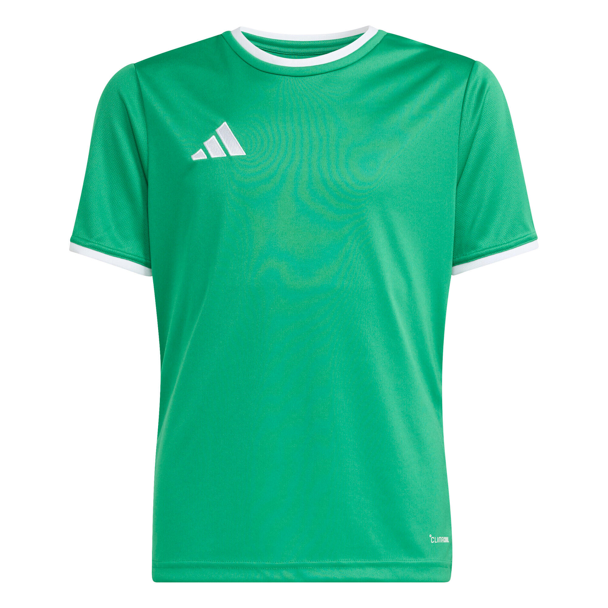 verde / verde