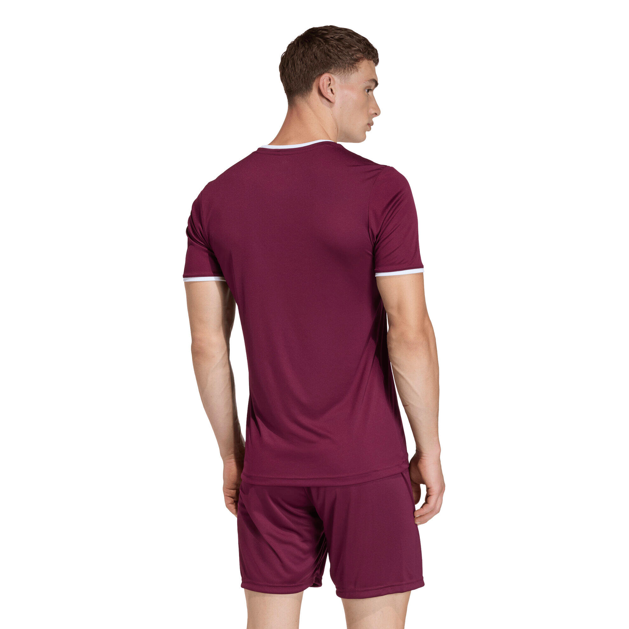 Adidas Entrada 26 Jersey voor heren 4/7