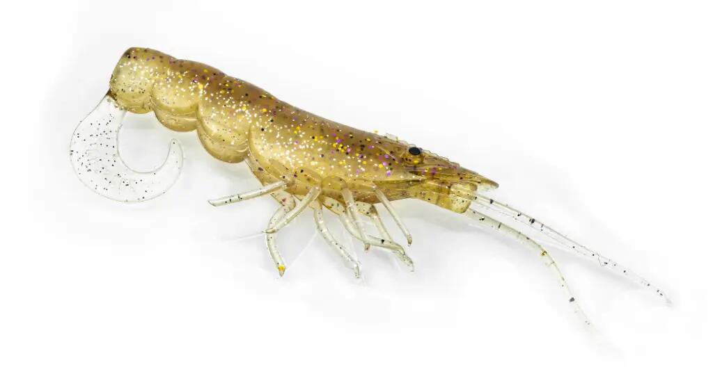CHASEBAITS picture