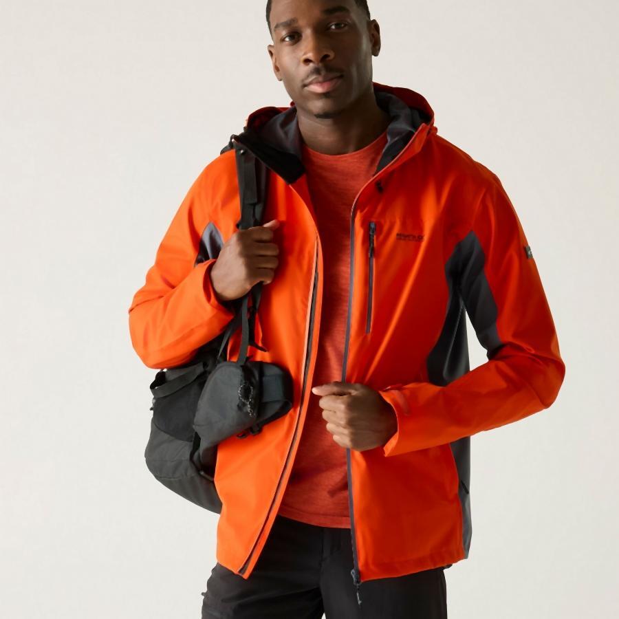 Veste - Birchdale homme 7/7