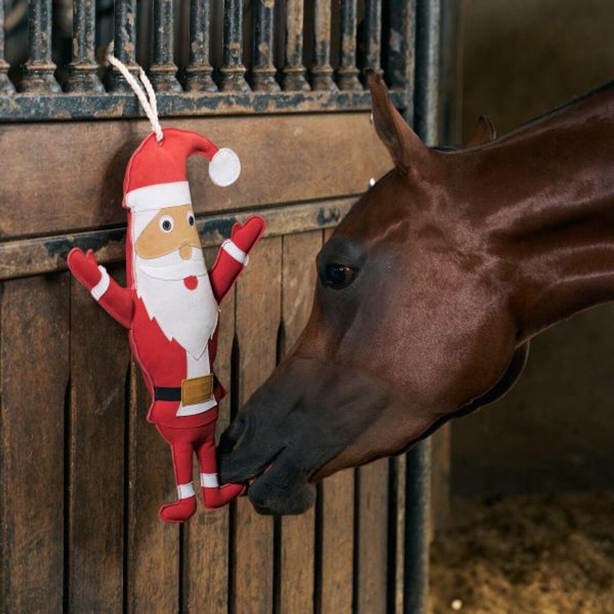 Jouet de boxe Père Noel Santa - IMPERIAL RIDING 2/4
