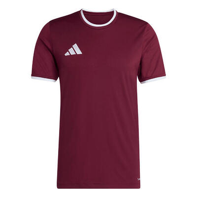 Adidas entrada 26 jersey voor heren
