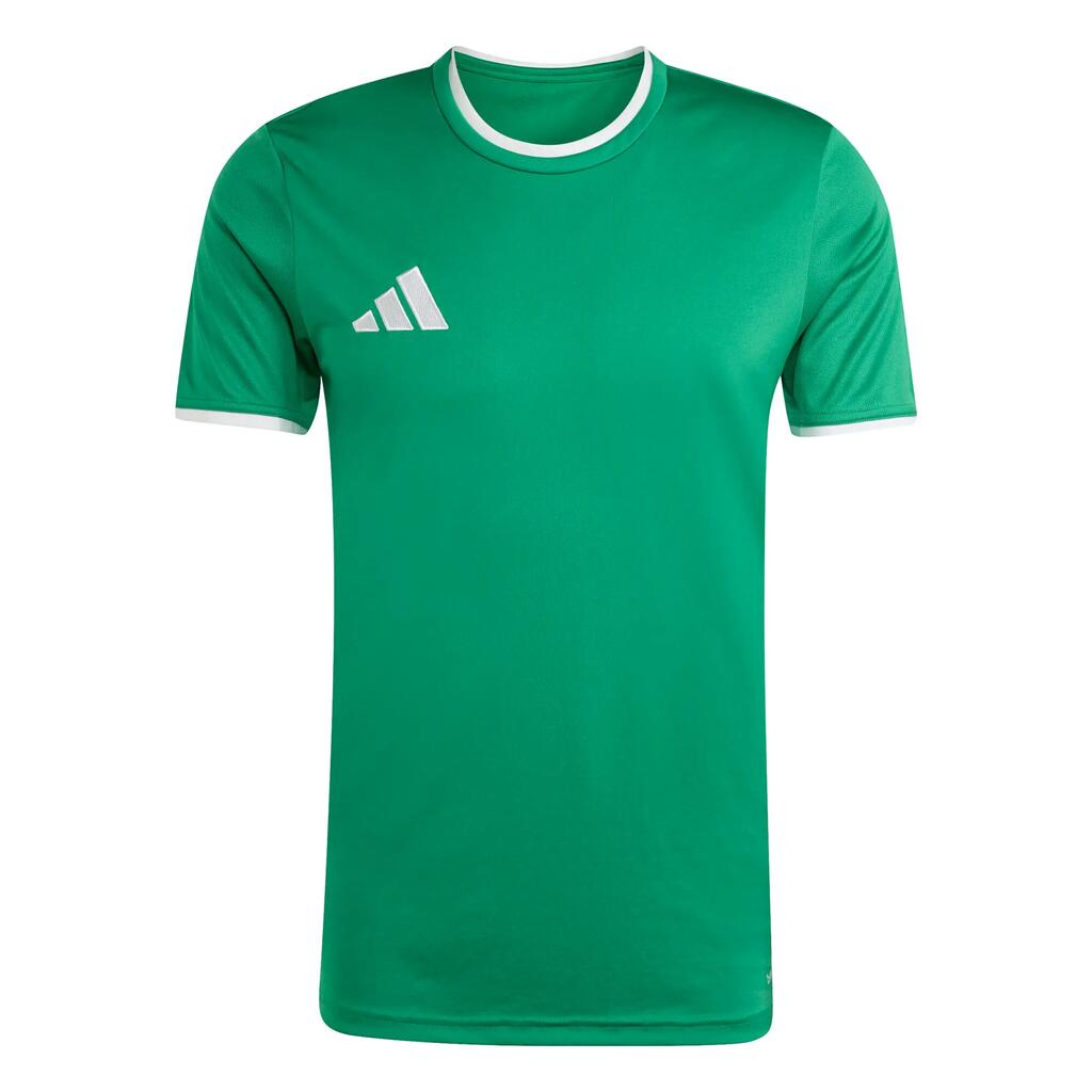 GREEN / WHITE
