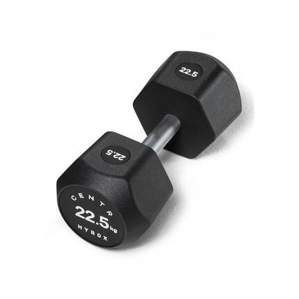 x Hyrox Urethane Dumbbell 22.5KG