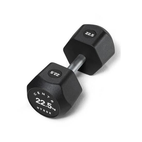 x Hyrox Urethane Dumbbell 22.5KG