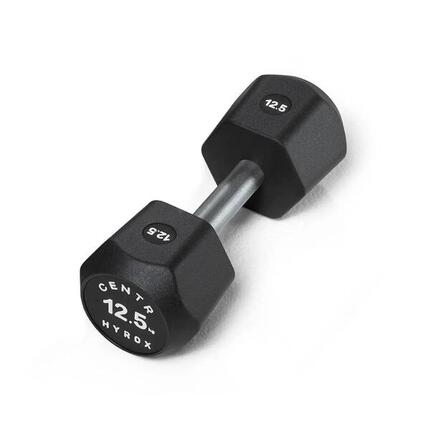 x Hyrox Urethane Dumbbell 12.5KG