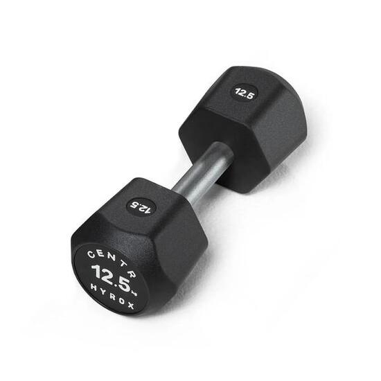 x Hyrox Urethane Dumbbell 12.5KG