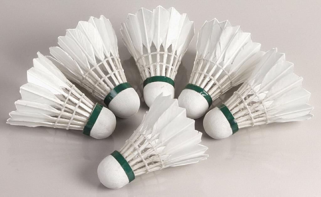 HUDORA Hudora Speed Shuttlecocks with Feathers, Set of 6 – Cork, Lightweight