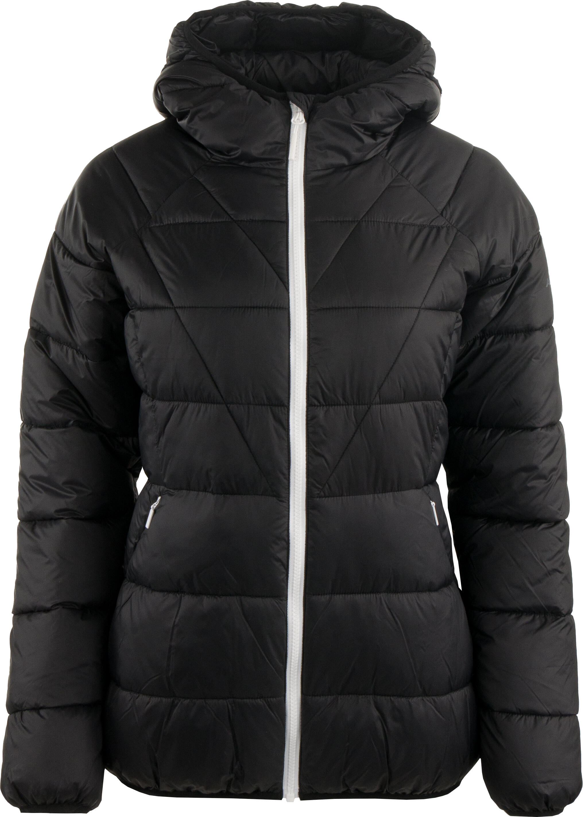 ALPINE PRO picture