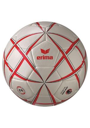 Handball Erima Magic