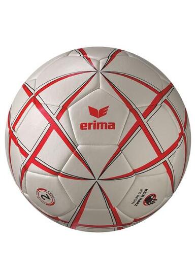 Handball Erima Magic