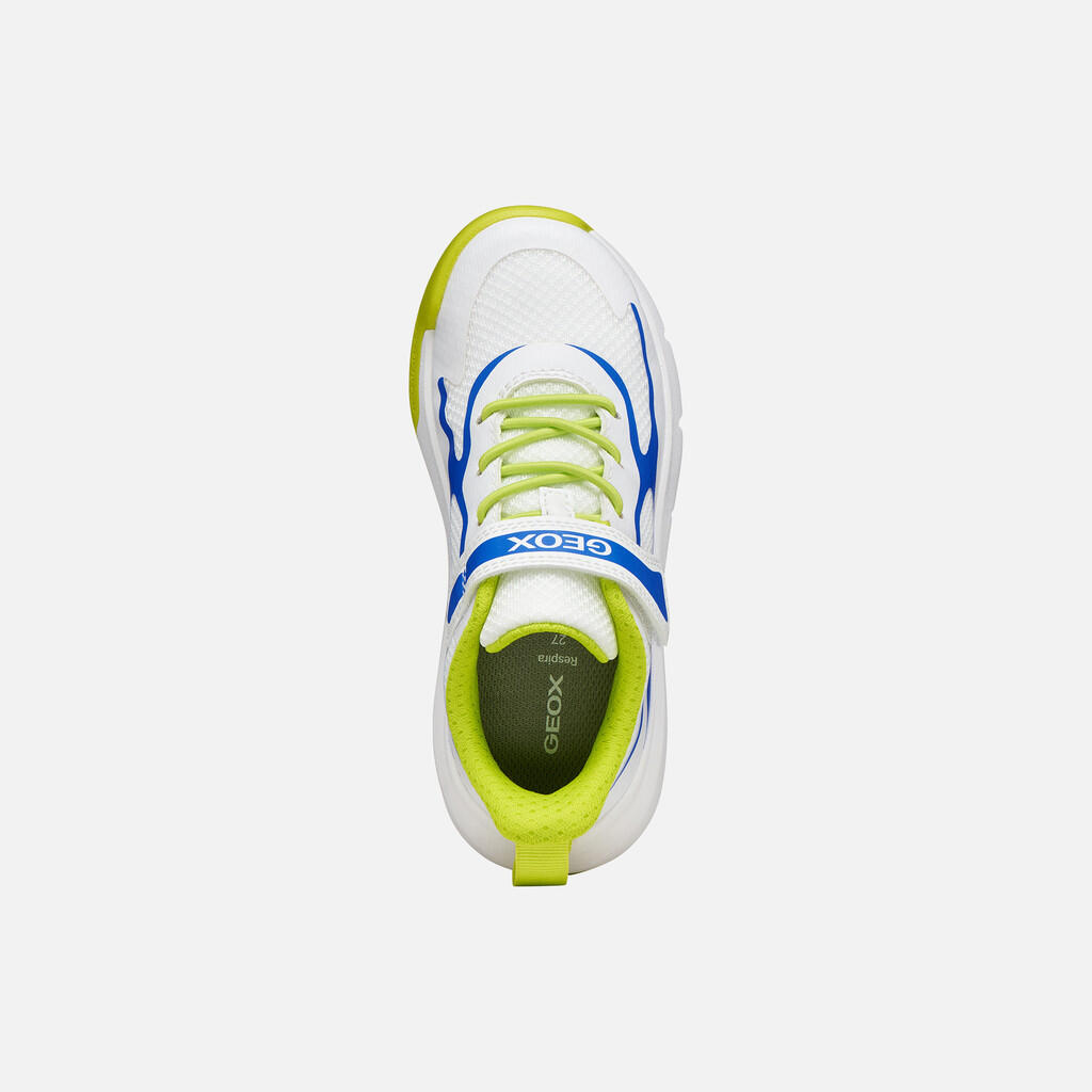Baskets Garçon J PRO-RAN BOY Blanc/Bleu Roi 6/7