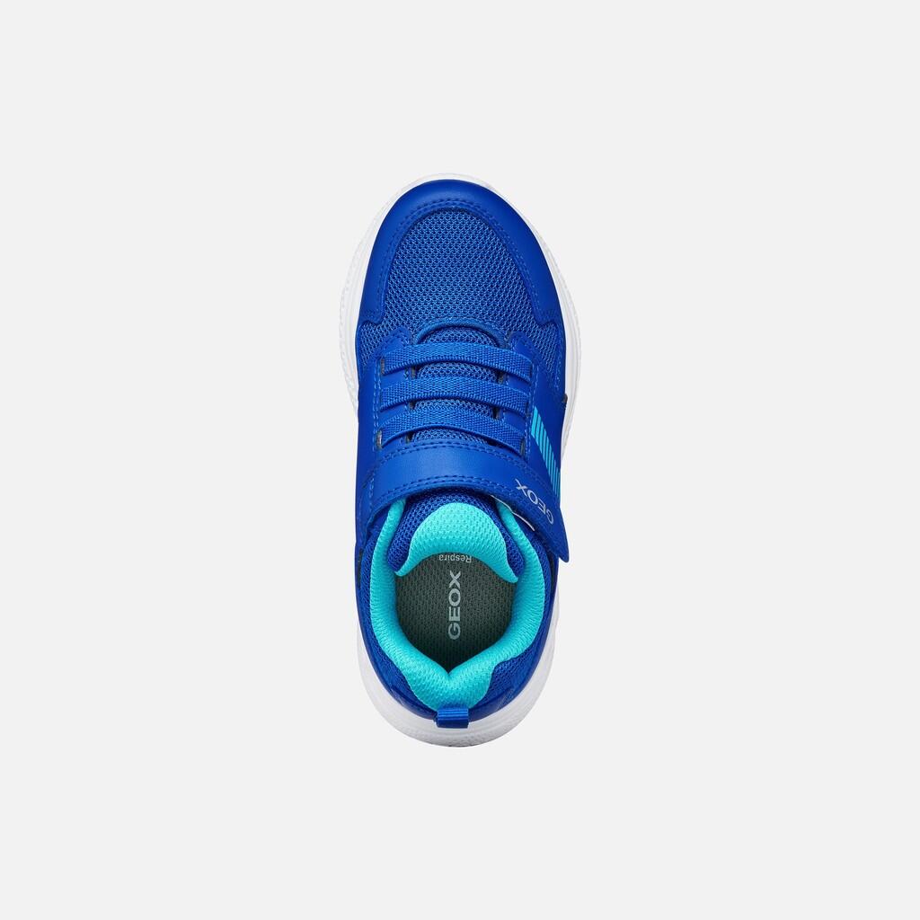 Baskets Garçon SPRINTYE BOY Bleu Roi/Bleu Clair 7/7