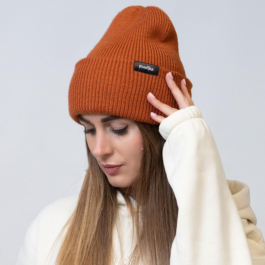 INVERTIKA picture