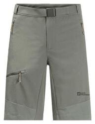 Short Jack Wolfskin Ziegspitz Vert Homme