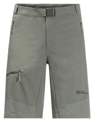 Jack Wolfskin Ziegspitz Shorts Grün Herren