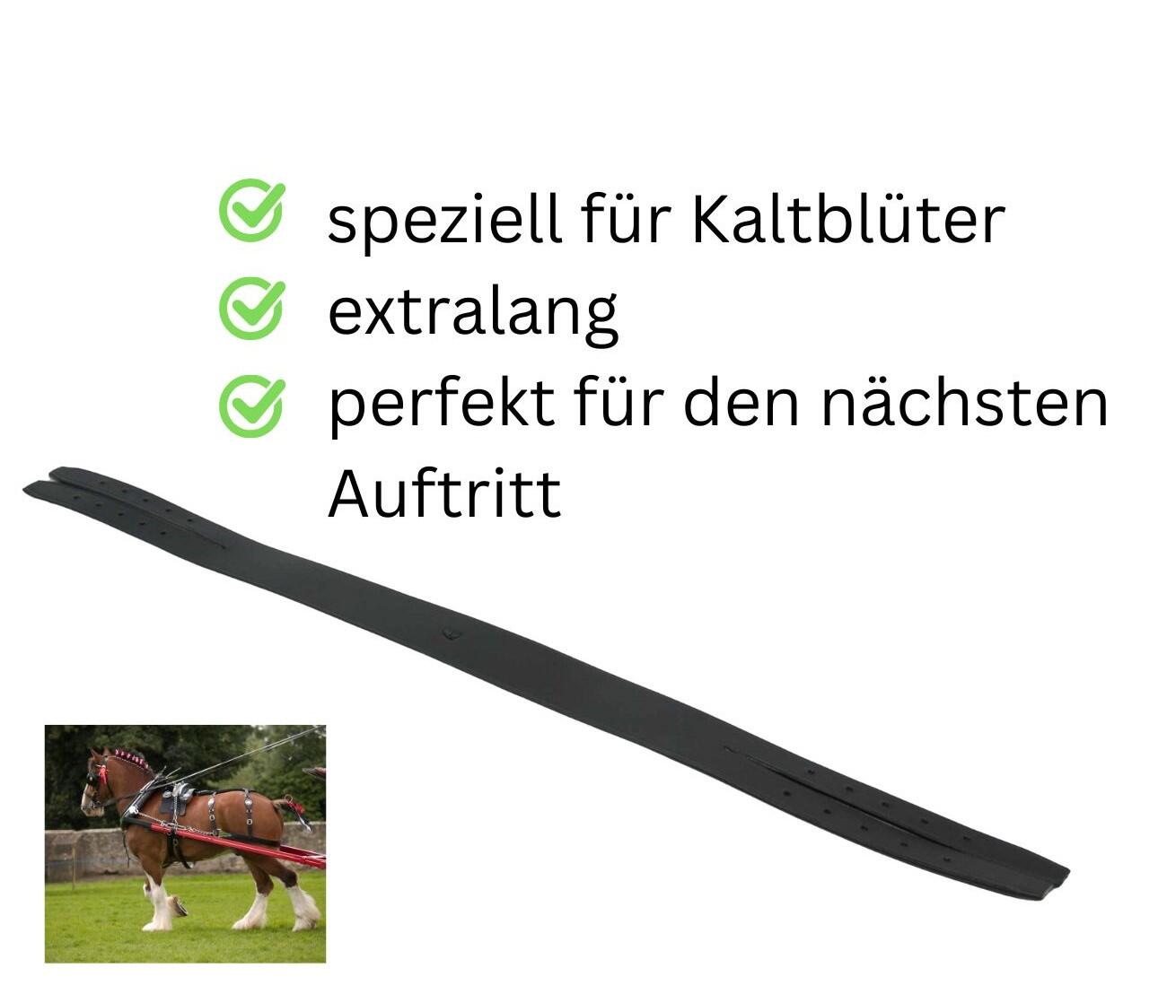 Leder Kopfstück für Zierhalfter Prunkhalfter Showzaum Fahrhalfter schwarz 3/4