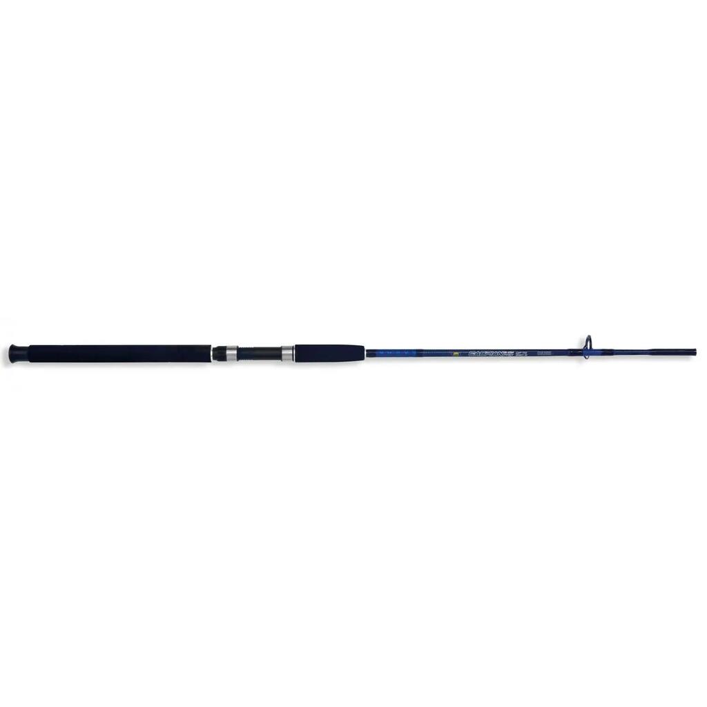 Риболовна пръчка Lineaeffe Caspian Pro Rod 2,40 m / 100-250 g, 2 броя