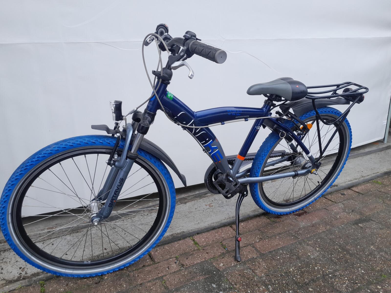 Batavus Snake 3/5