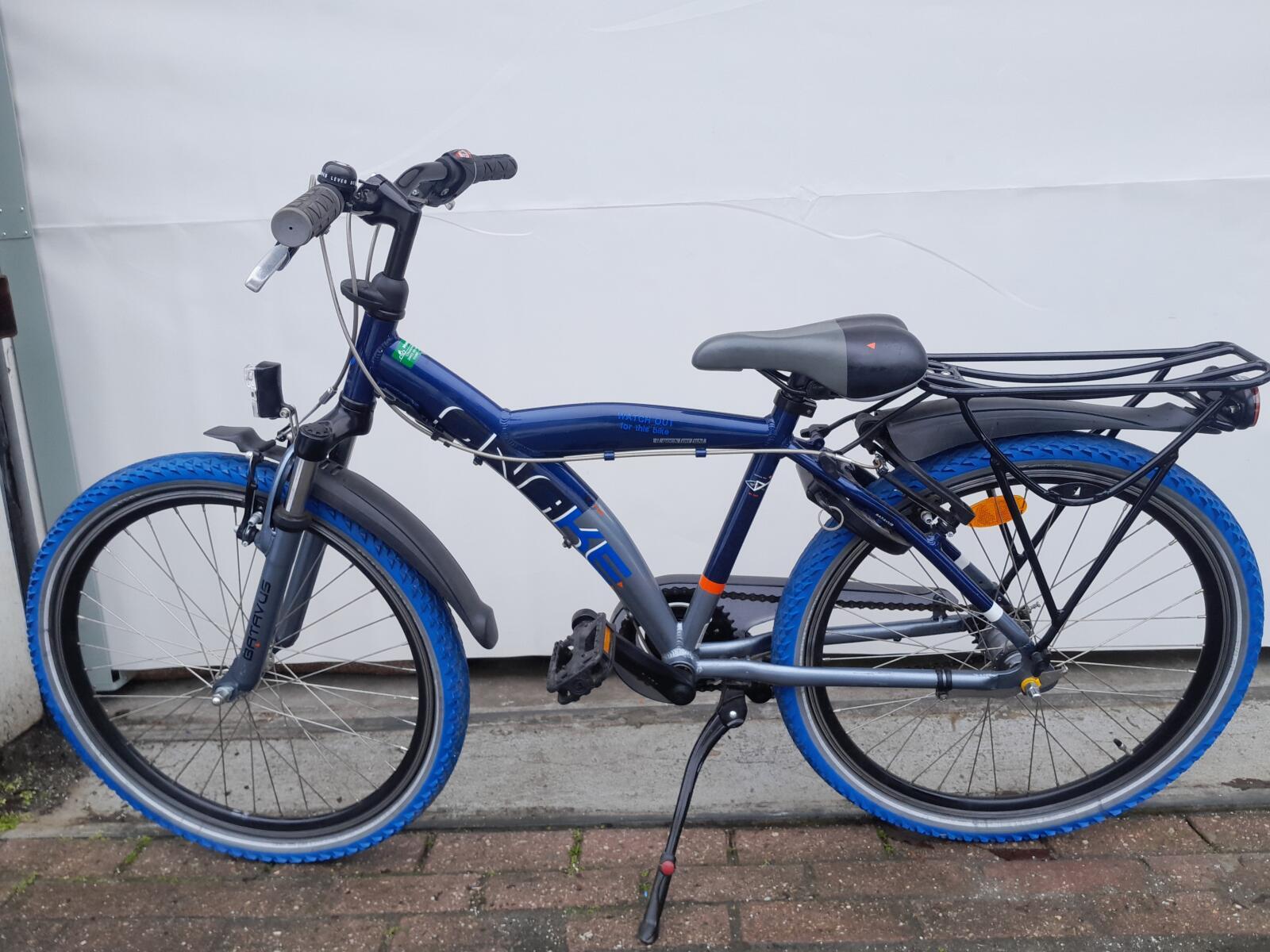 Batavus Snake 4/5