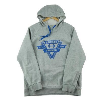 Tweedehands - hoodie voor mannen grijs - goede staat