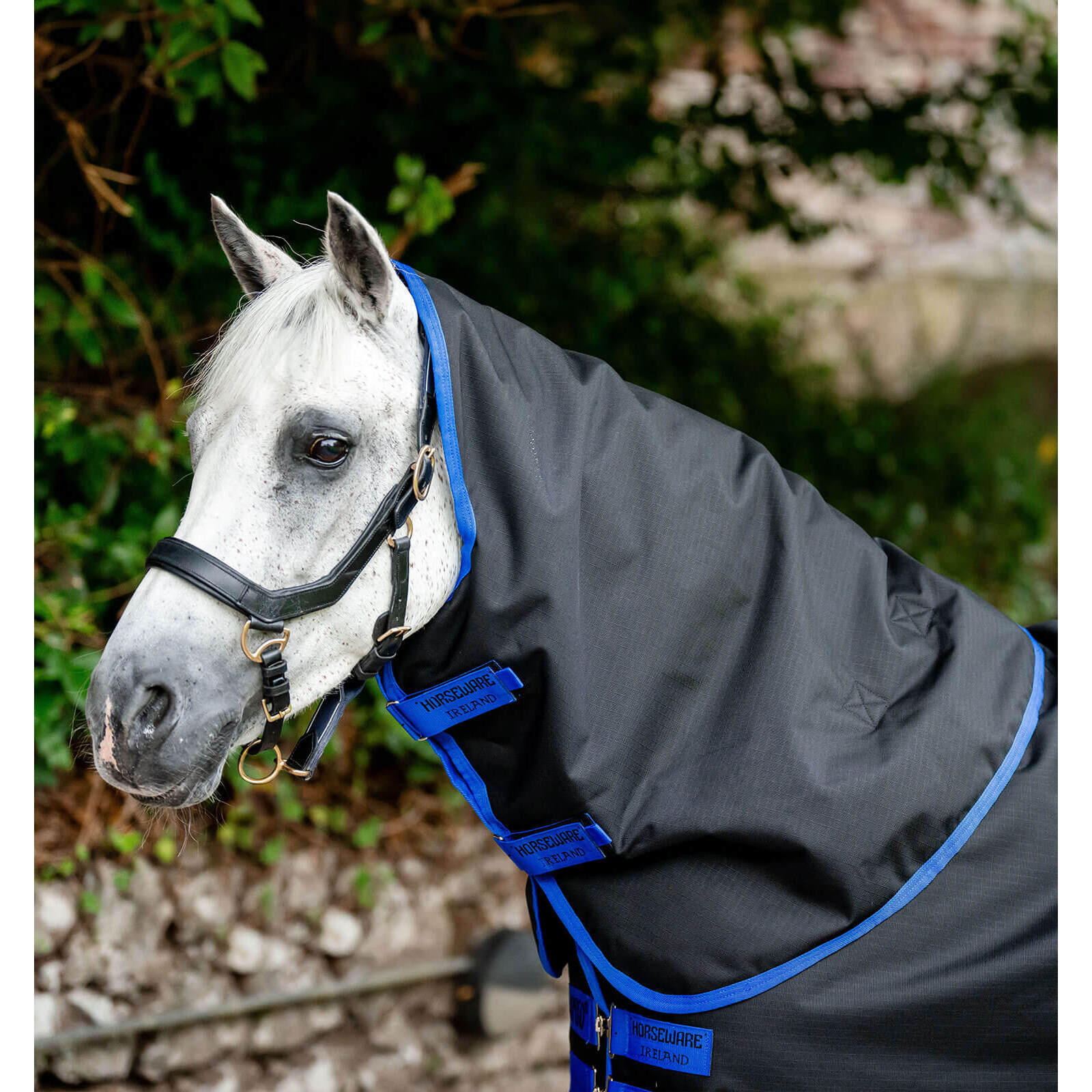 HORSEWARE IRELAND picture